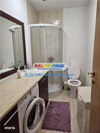Vanzare casa P + M 5 camere Valea Voievozilor Razvad - 11