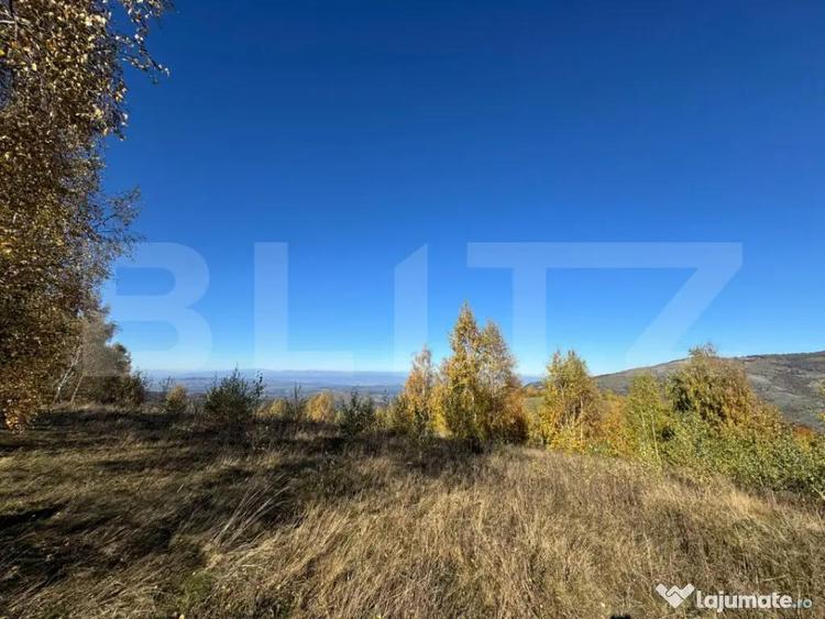 Teren de 17183 mp, în Central