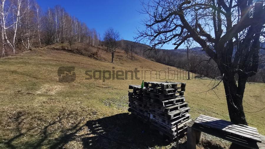 Teren Construcții intravilan de 10100 mp, în Munteni