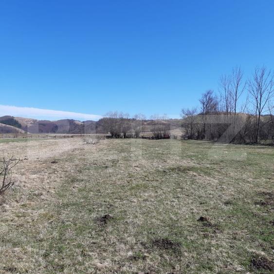 Teren agricol extravilan de 901 mp, în Valea Drăganului