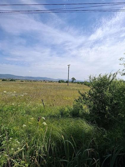 Teren de 5800 mp, în Central