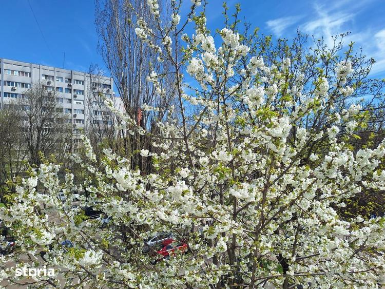 Apartament cu 2 camere semidecomandat, mobilat în Pajura