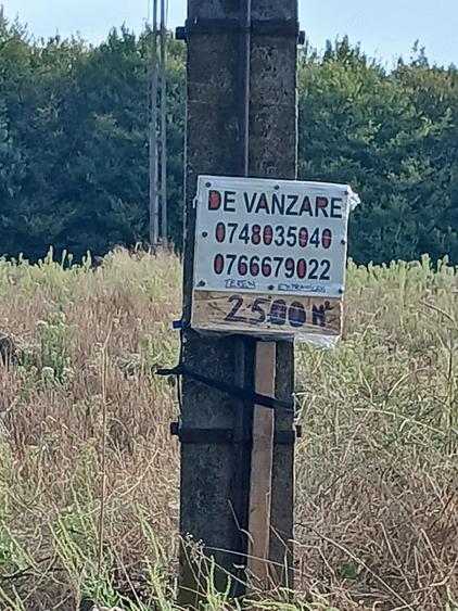 Teren de 6000 mp, în Budești