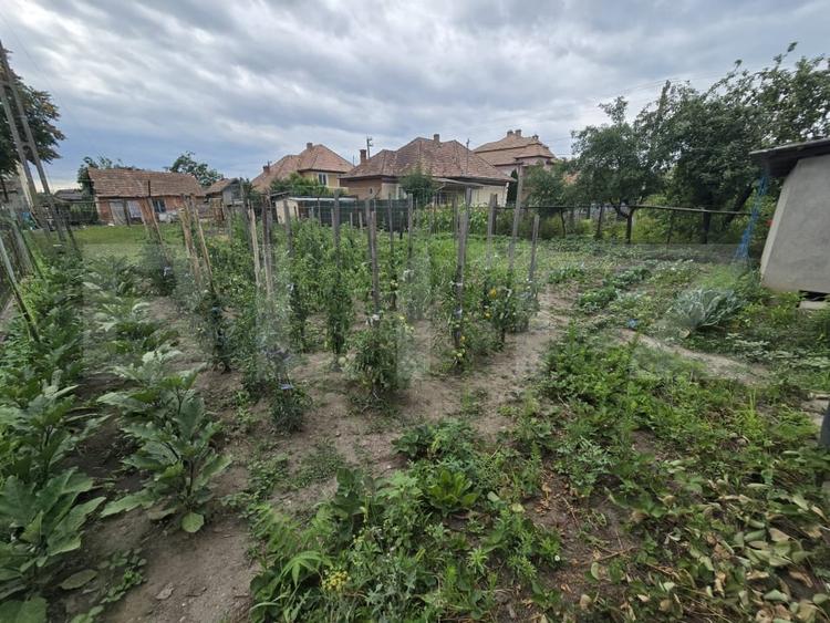Casă individuală cu 3 camere cu Canalizare în Iernut