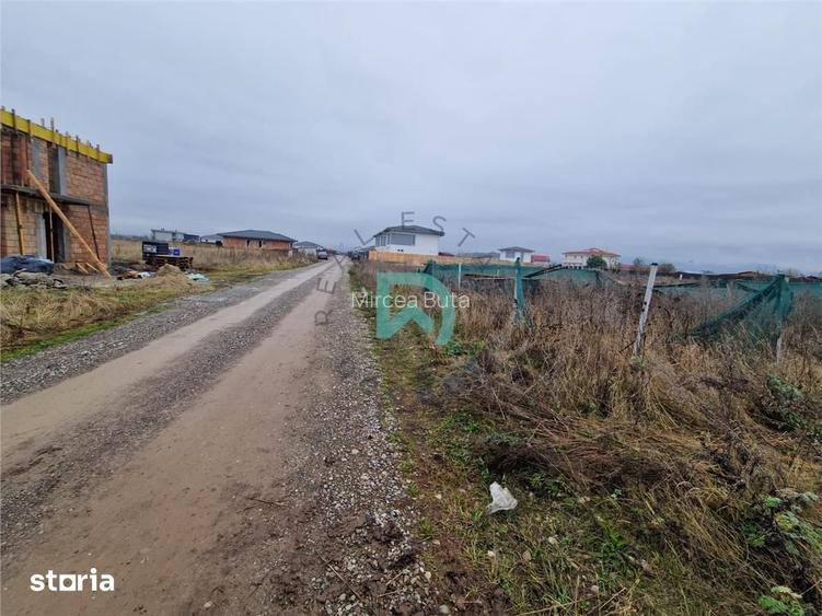 Teren intravilan 640 mp, Harman, Brasov