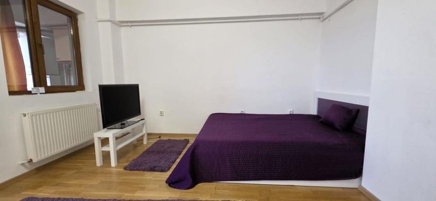 Garsonieră în Valea Oltului