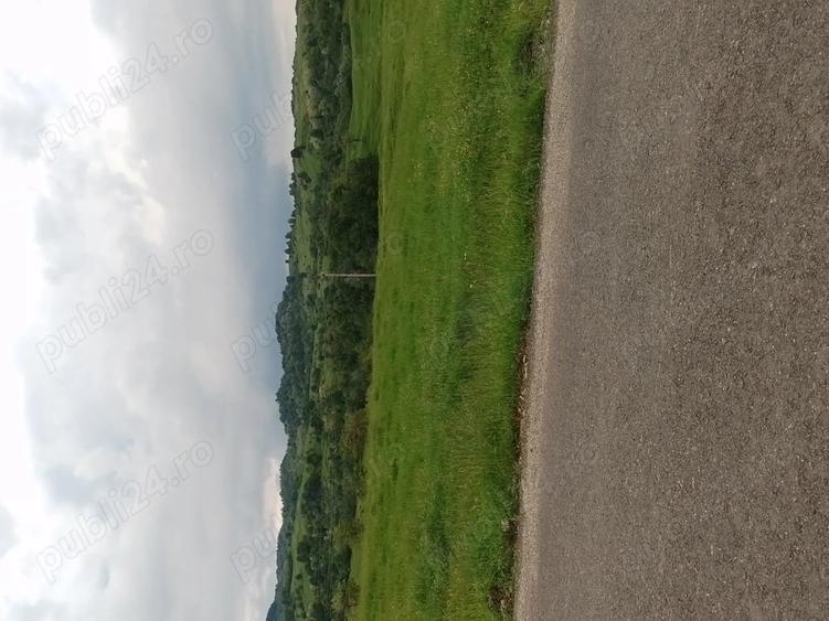 Teren de 3600 mp, în Aluniș