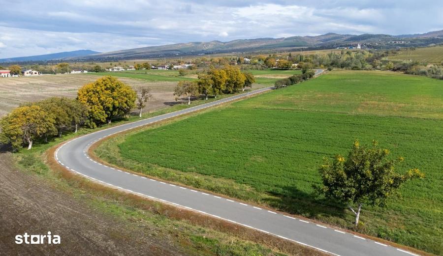 Teren de 3000 mp, în Cârligele