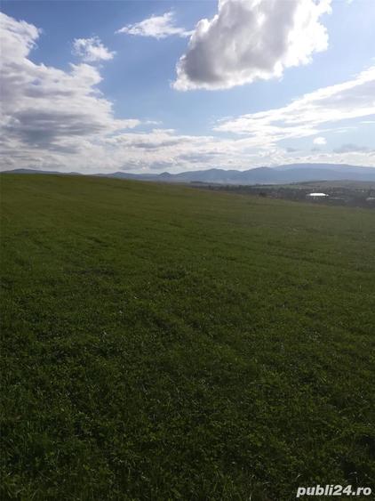 Teren de 42000 mp, în Central