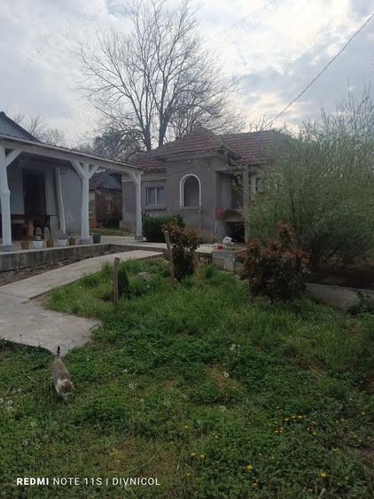 Teren de 4650 mp, în Vârvor