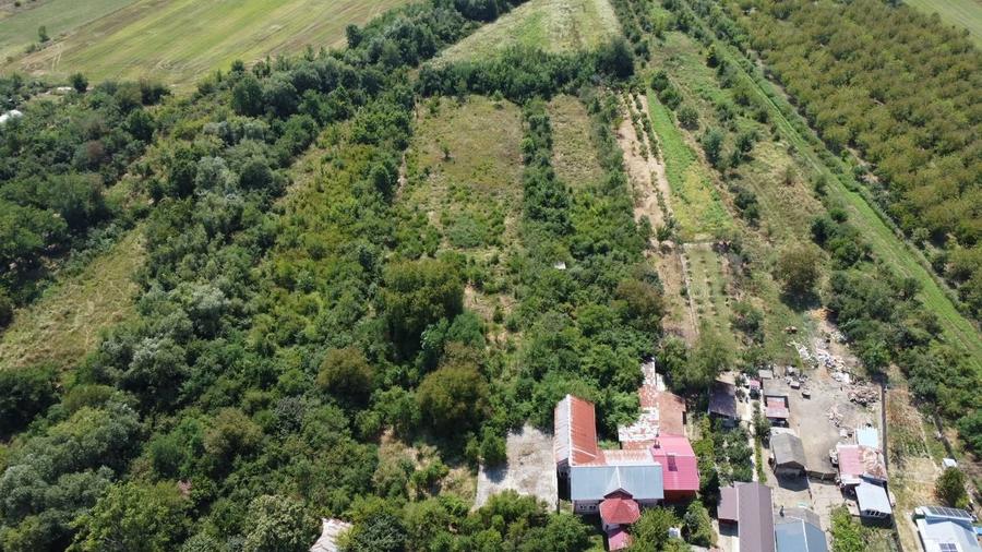 Teren Construcții intravilan de 7808 mp, în Bolovani