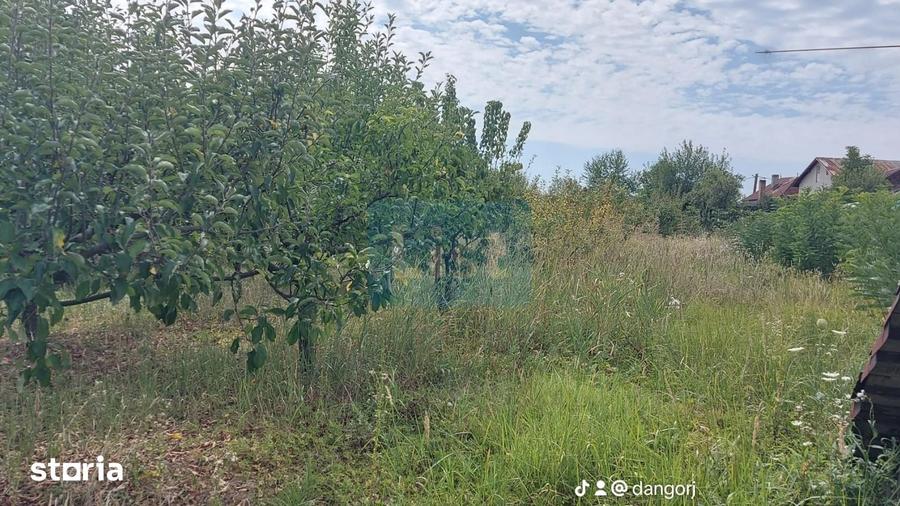 Casă cu 8 camere cu Teren 5000 Mp în Bengești