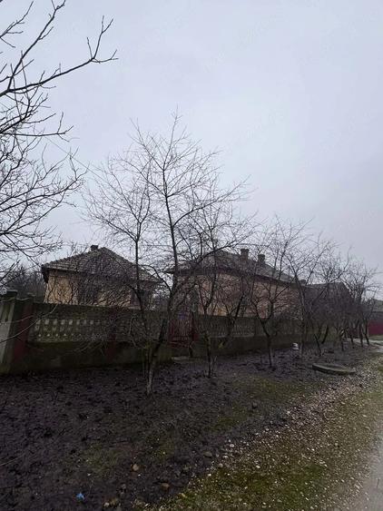Casa de vanzare - 1