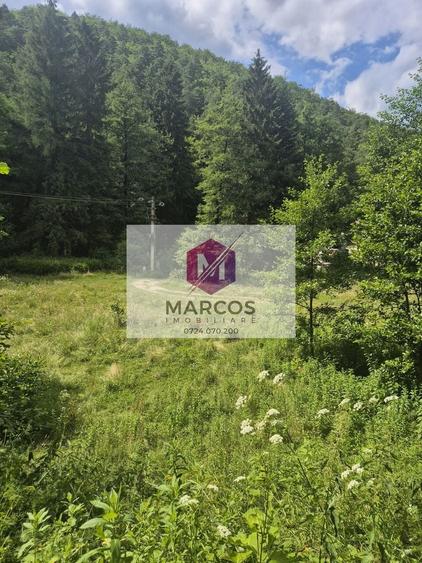 Teren Construcții intravilan de 612 mp, în Văliug