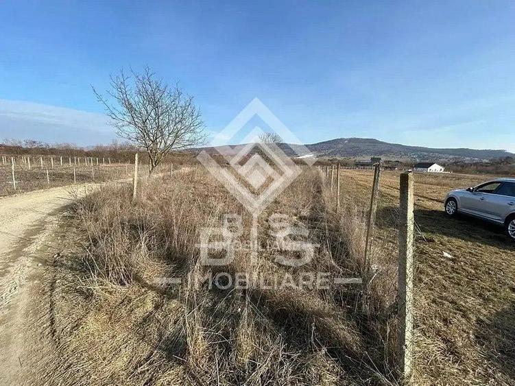 Teren Construcții intravilan de 1600 mp, în Unirea