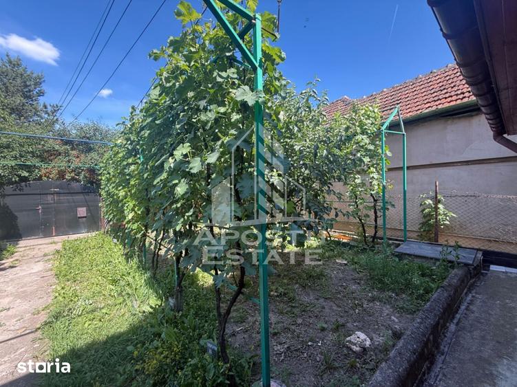 Casă cu 3 camere cu Teren 421 Mp în Plopi