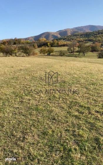 Teren de 972 mp, în Gura Râului