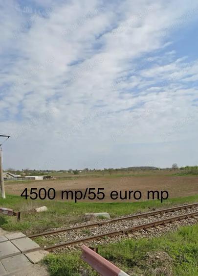 Teren de 4500 mp, în Grădiștea