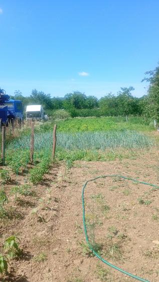 Casă cu Teren 1450 Mp în Agrișu Mare