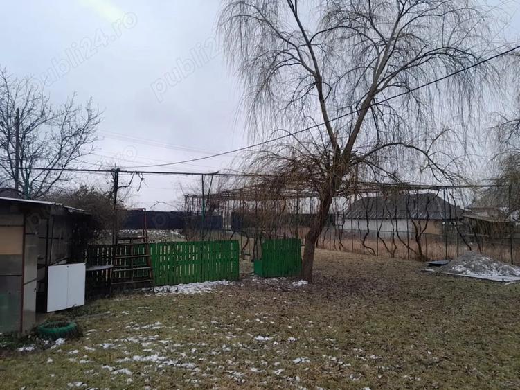 Casa + teren 5000 mp, Podoleni, Neam? - 5