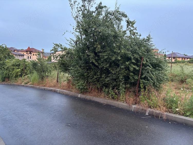 Teren de 4000 mp, în Mogoșoaia