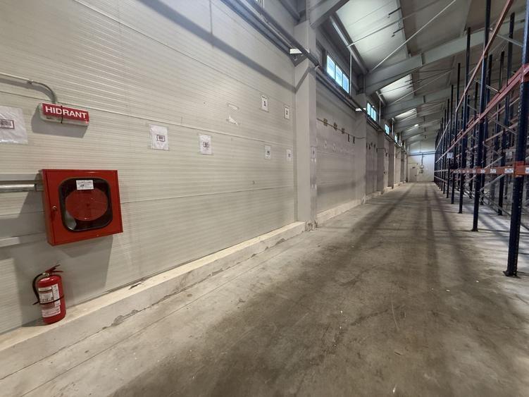 Spațiu industrial, de 5,000 mp, în Dragomirești-Vale