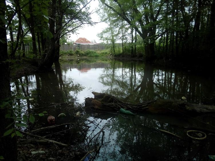 Teren de 50000 mp, în Făgețelu