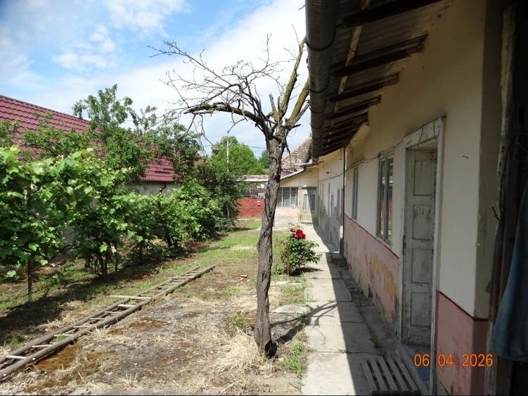 Casă individuală cu 5 camere cu Teren 1848 Mp în Jidvei