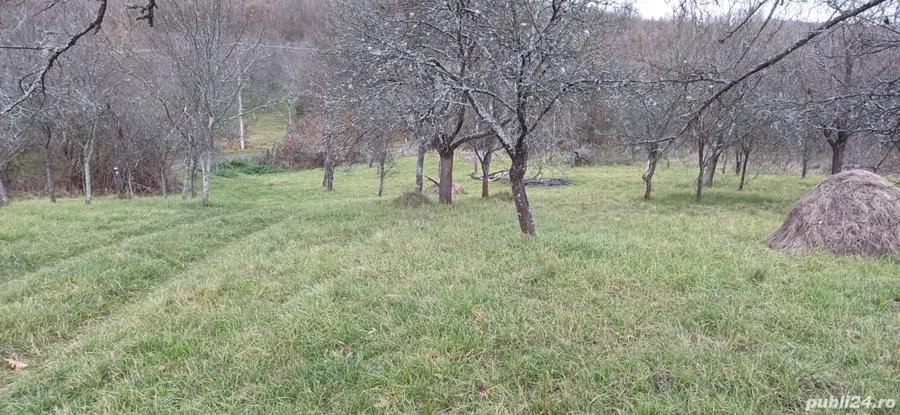 Teren de 4000 mp, în Cuieș