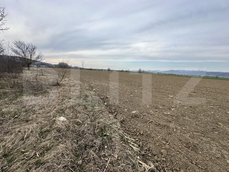 Teren agricol intravilan de 32000 mp, în Simeria