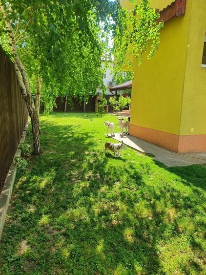 Casă cu 4 camere în Mamaia