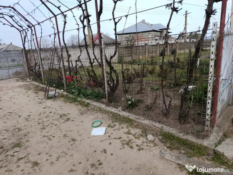 Casă cu 5 camere cu Teren 8481 Mp în Soreni