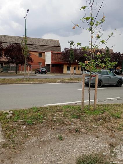 Spațiu comercial, de 40 mp, în Mehala