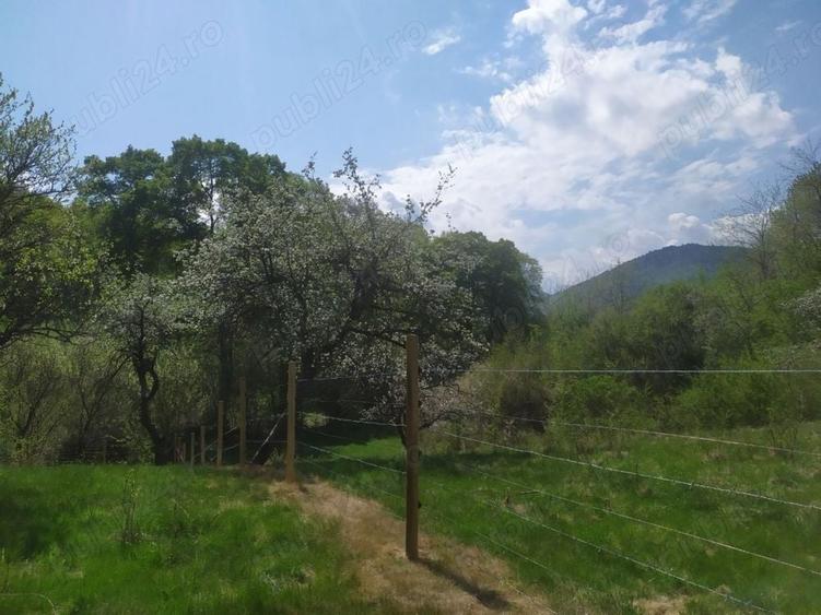 Teren de 16800 mp, în Sibiel