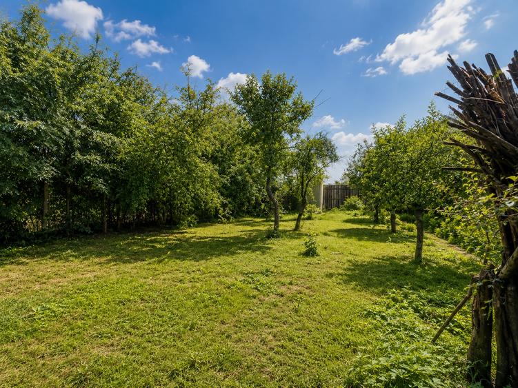 Teren Construcții intravilan de 400 mp, în Mogoșoaia