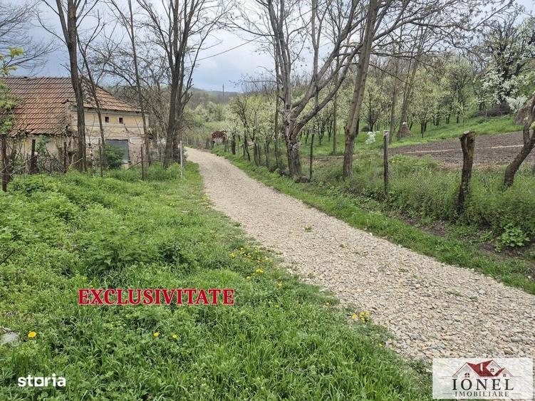 Spațiu comercial, în Straja