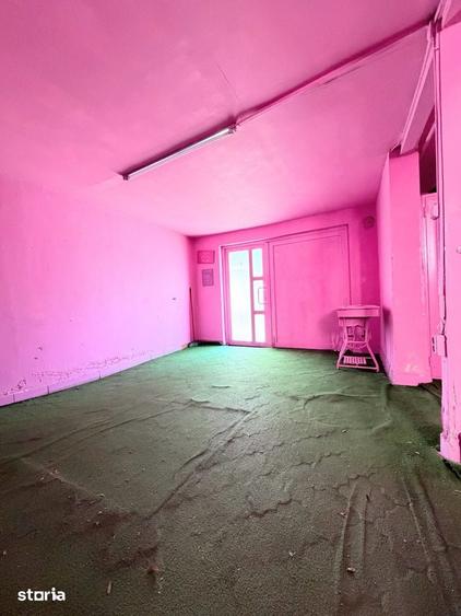 Brancoveanu inchiriere imobil 150mp- productie, depozitare, cazare - 17