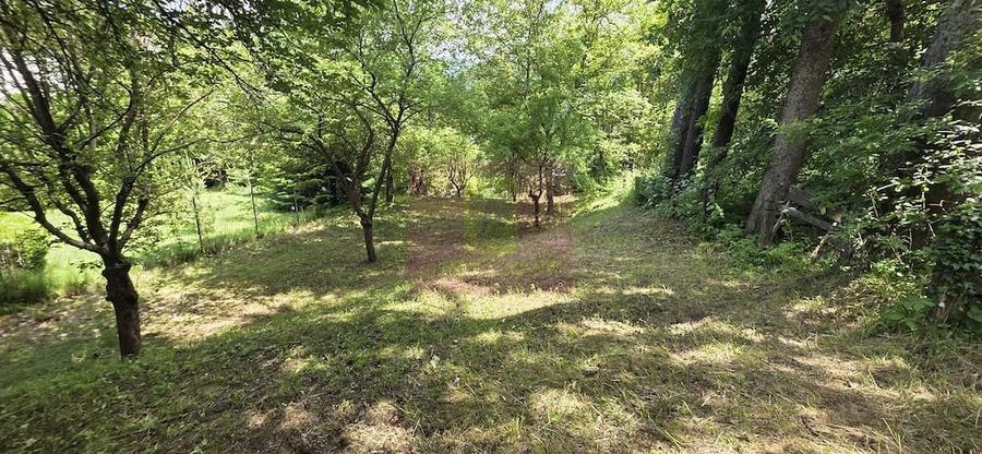 Teren de 780 mp, în Furnica