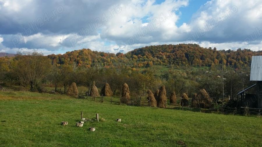 Teren de 5000 mp, în Galeșu