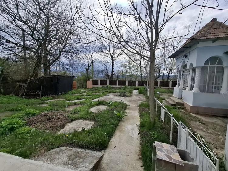 Casă cu 4 camere cu Teren 3850 Mp în Olanu