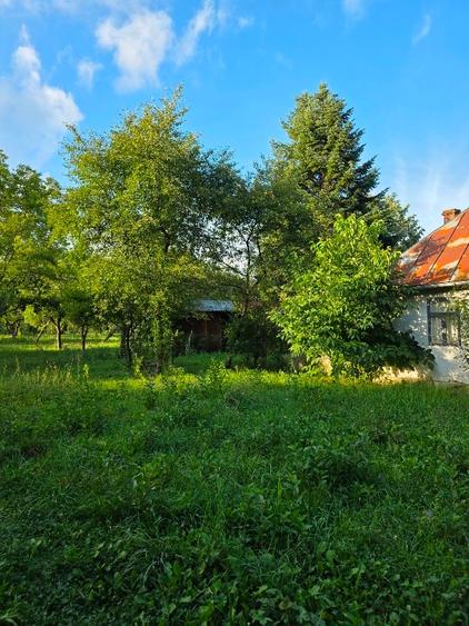 Teren 2500 mp – POTENȚIAL BUSINESS / DEZVOLTARE – Breaza - 3
