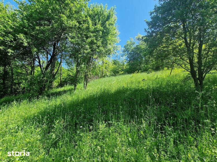 Teren de 3186 mp, în Poiana