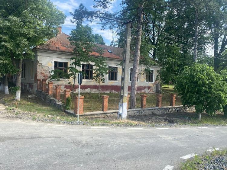Casă individuală cu 10 camere cu Canalizare în Balinț