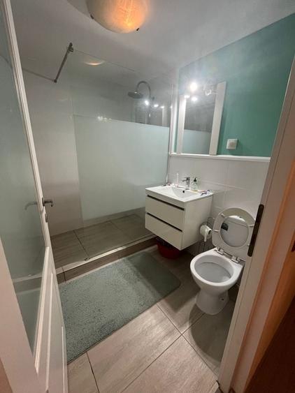 Apartament cu 2 camere semidecomandat în Dosu Bricii