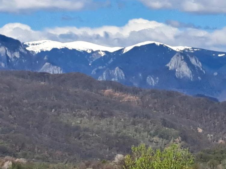 Teren de 3600 mp, în Central