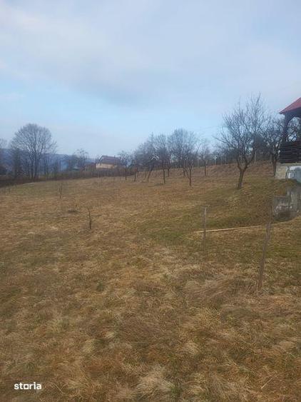 Teren de 5976 mp, în Moisei