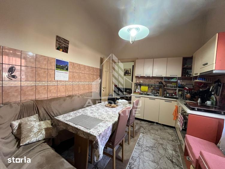 Casa individuala 7 camere, 3 bai, garaj, teren 1129 mp, zona Iosefin - 9
