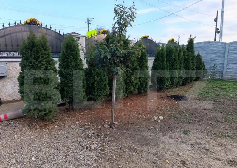 Casă cu 3 camere cu Teren 780 Mp în Măgurele