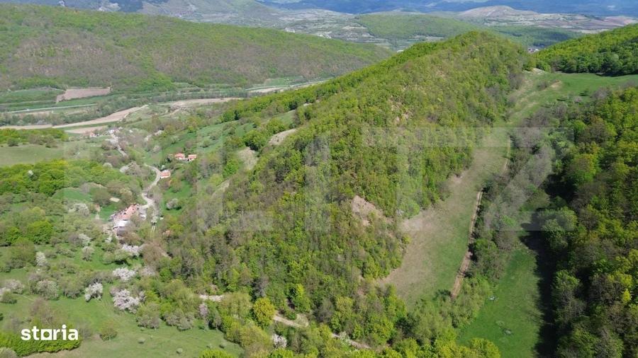 Spațiu comercial, în Pădure