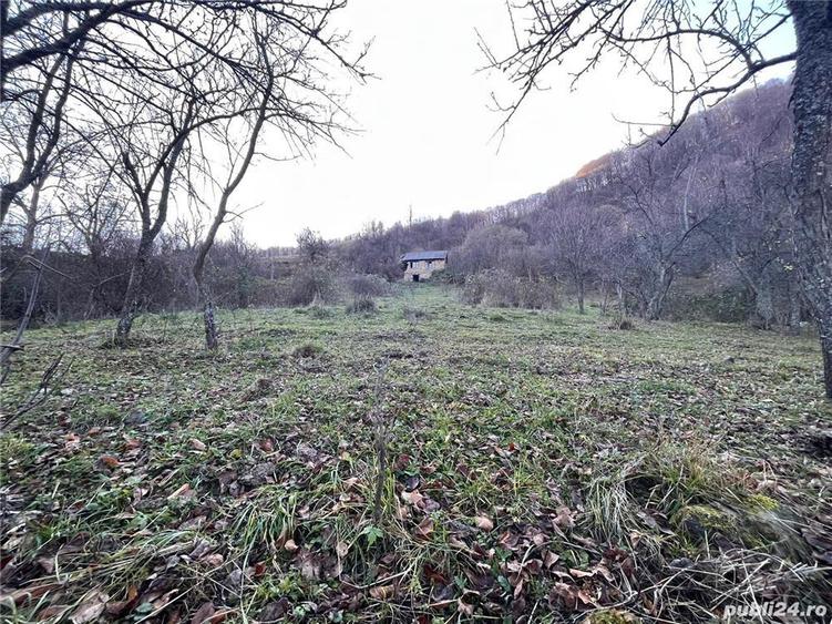 Teren de 30000 mp, în Cornereva